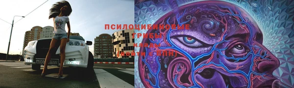 дурь Алексин