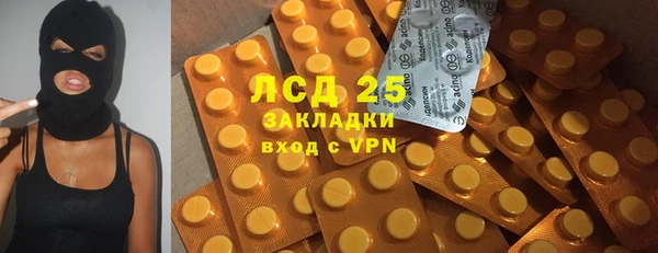 индика Алексеевка