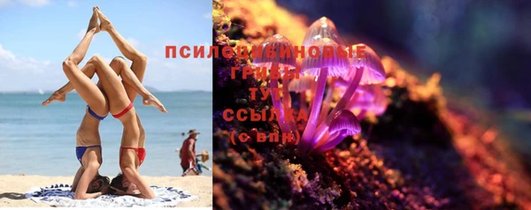 индика Алексеевка