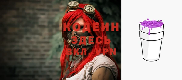 дурь Алексин