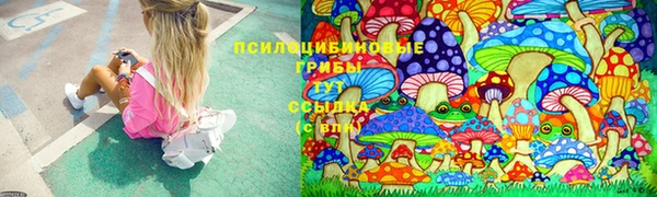 дурь Алексин