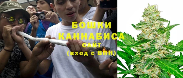 индика Алексеевка
