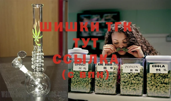 индика Алексеевка