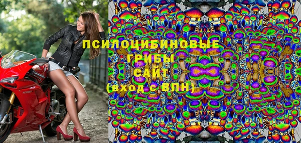 дурь Алексин