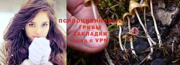 индика Алексеевка